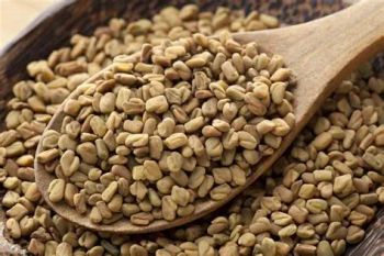 Fenugreek Seed Origin India Moisture Max 8% Purity Premium Sortex Grade Color Golden Yellow / Caramel - H&R INTERNATIONAL - India